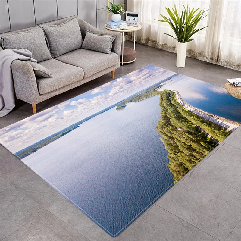 Non-slip Rug Washable Rug Decoration Living Room Carpet Doormat Entrance Kitchen Small Rug Rugs for Bedroom Welcome Mat
Non-slip Rug Washable Rug Decoration Living Room Carpet Doormat Entrance Kitchen Small Rug Rugs for Bedroom Welcome Mat