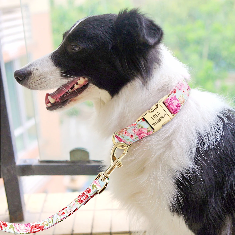 Personalized Nylon Dog Collar Leash Set Printed Custom Dog ID Tag Collar Engraved Pet Puppy Collars For Small Medium Large Dogs
Personalized Nylon Dog Collar Leash Set Printed Custom Dog ID Tag Collar Engraved Pet Puppy Collars For Small Medium Large Dogs