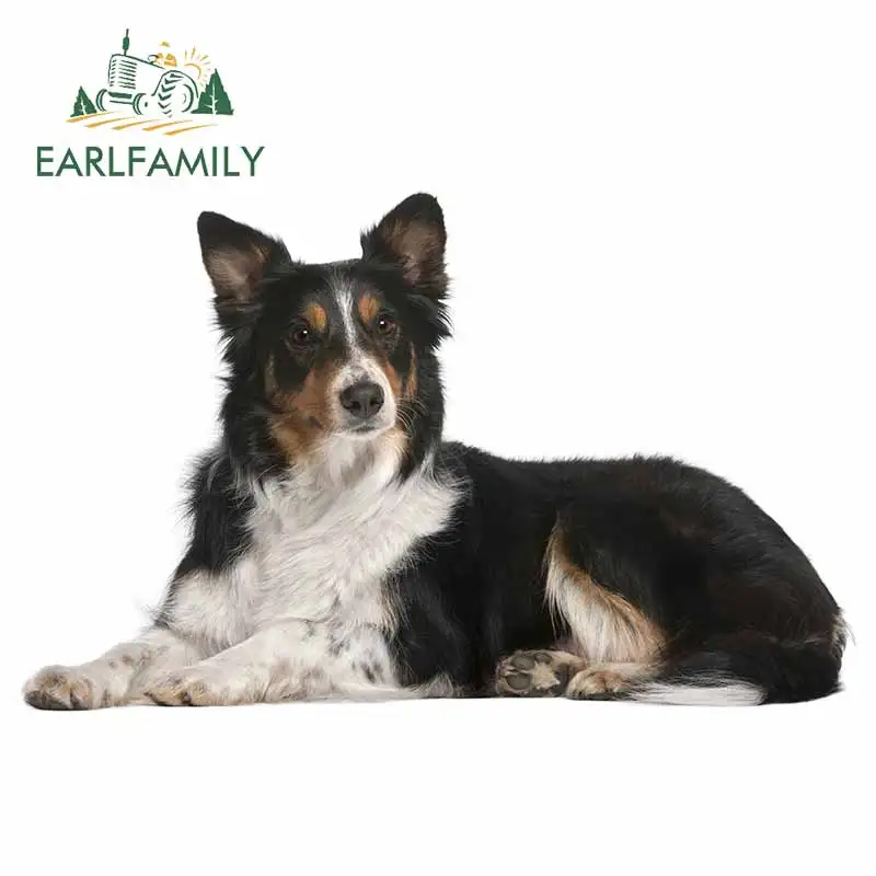 EARLFAMILY 13 см x 8,2 см для ремонта автомобиля собаки, наклейка для кондиционера, виниловый материал «сделай сам», забавное устойчивое к царапинам...
EARLFAMILY 13 см x 8,2 см для ремонта автомобиля собаки, наклейка для кондиционера, виниловый материал «сделай сам», забавное устойчивое к царапинам...