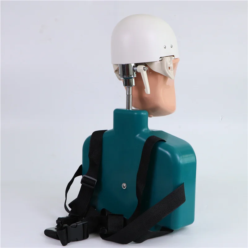 Dental Teaching Model Training Simulator Practise Dental Manikins Phantom Model for Any Position Practice
Dental Teaching Model Training Simulator Practise Dental Manikins Phantom Model for Any Position Practice