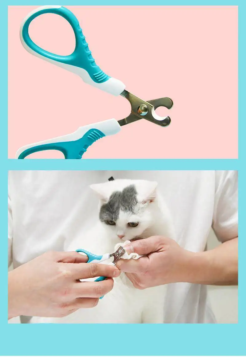 Stainless steel pet nail clippers Straight elbow nail clippers dog cat pet supplies cat nail clippers nail clippers ZD 
Stainless steel pet nail clippers Straight elbow nail clippers dog cat pet supplies cat nail clippers nail clippers ZD
