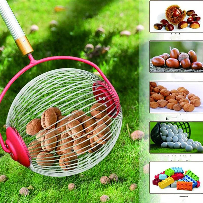 Ball Collector Rolling Nut Harvester Ball Picker Adjustable Garden Nut Fruit Picker for Picking Up Walnut Family Orchards Tool
Ball Collector Rolling Nut Harvester Ball Picker Adjustable Garden Nut Fruit Picker for Picking Up Walnut Family Orchards Tool