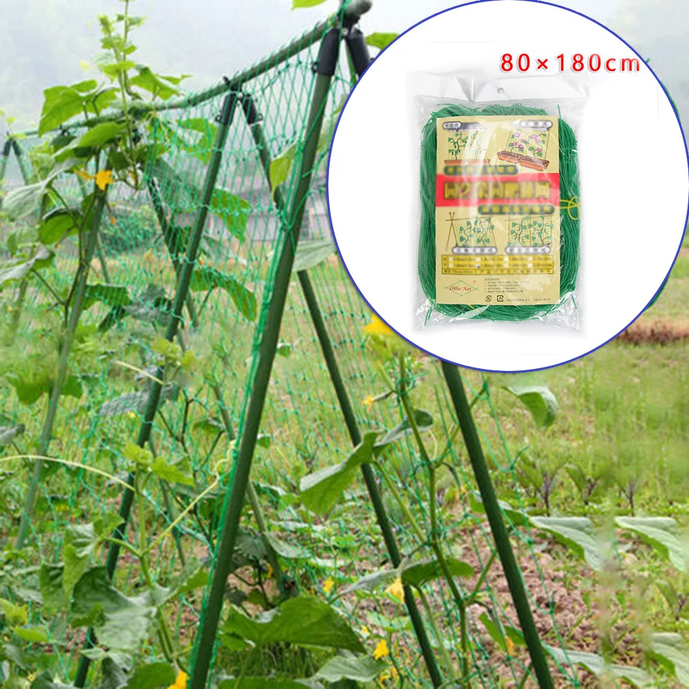 Garden Nylon Trellis Netting Support Climbing Bean Plant Net Grow Fence Decor Outdoor Vegetable Plant Climbing Protective Net
Garden Nylon Trellis Netting Support Climbing Bean Plant Net Grow Fence Decor Outdoor Vegetable Plant Climbing Protective Net