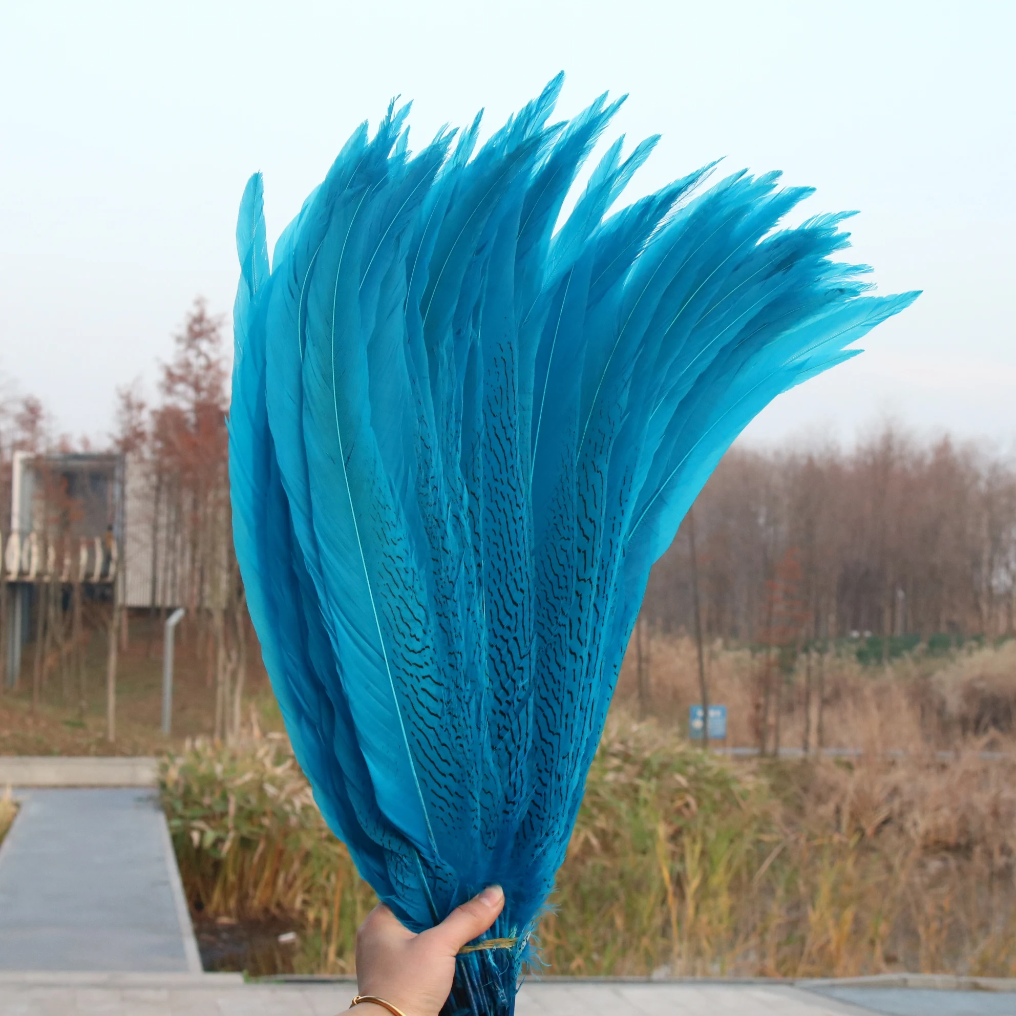 50-55 см/длинная натуральная Серебряная фотосессия, женская серебряная курица, перья, пух
50-55 см/длинная натуральная Серебряная фотосессия, женская серебряная курица, перья, пух