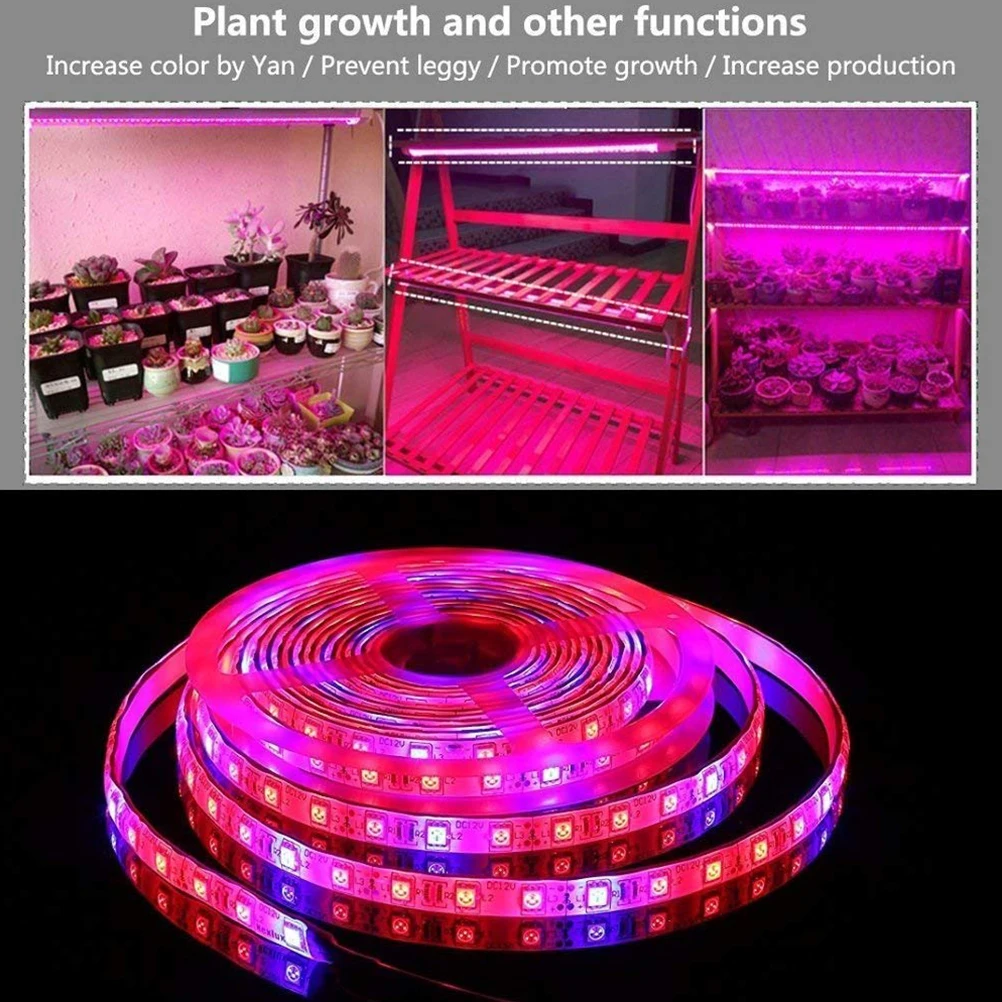 LED Plant Growth Light String 5050 SMD LED Grow Strip Light Waterproof Plant Growing Lamp For Greenhouse Hydroponic
LED Plant Growth Light String 5050 SMD LED Grow Strip Light Waterproof Plant Growing Lamp For Greenhouse Hydroponic