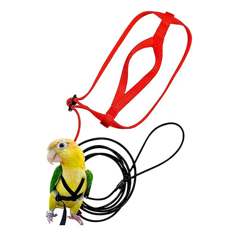 Parrot Bird Harness Leash Outdoor Flying Traction Straps Band Adjustable Anti-Bite Training Rope
Parrot Bird Harness Leash Outdoor Flying Traction Straps Band Adjustable Anti-Bite Training Rope