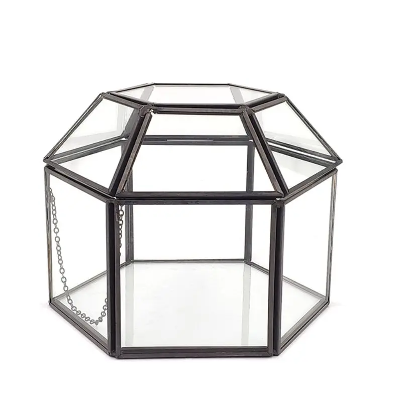 Clear Glass & Brass-Tone Metal Hinged Top Lid Terrarium Box/Tabletop Display Case
Clear Glass & Brass-Tone Metal Hinged Top Lid Terrarium Box/Tabletop Display Case