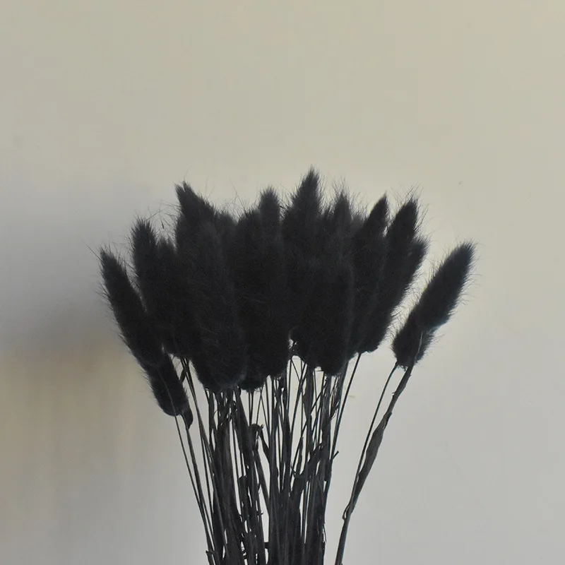 Home Decor Dried Flower Bunny Tail Natural Plants Floral Rabbit Grass Pampas Bouquet Wedding Decoration Accessories Real Wheat
Home Decor Dried Flower Bunny Tail Natural Plants Floral Rabbit Grass Pampas Bouquet Wedding Decoration Accessories Real Wheat