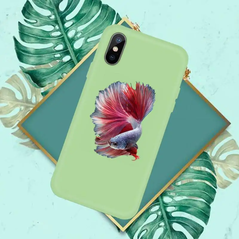 beautiful Fighting fish Phone Case Candy Color for iPhone 11 12 mini pro XS MAX 8 7 6 6S Plus X SE 2020 XR
beautiful Fighting fish Phone Case Candy Color for iPhone 11 12 mini pro XS MAX 8 7 6 6S Plus X SE 2020 XR