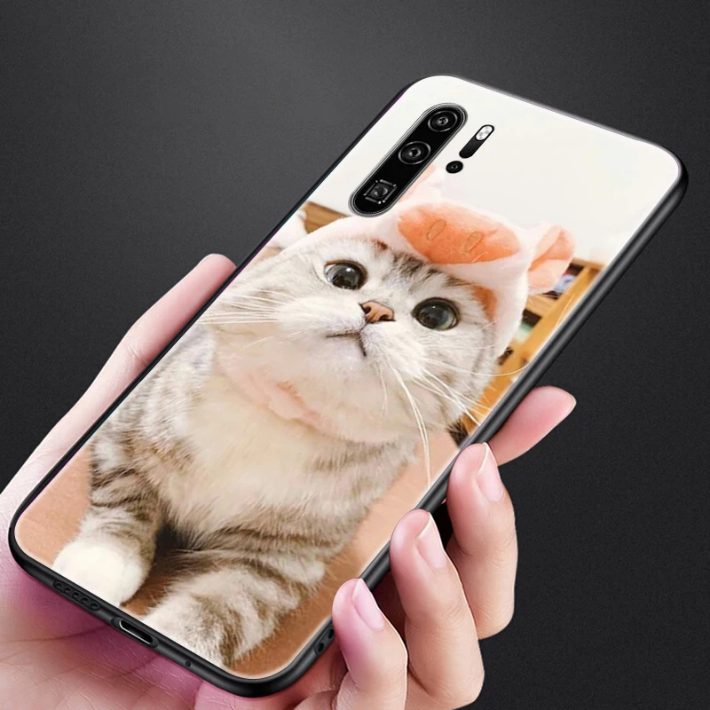 Phone Case For Huawei P40 Pro Plus Lite P30 Pro Lite Cases Back Cover Soft TPU Cute Cat In Clothes Funny Pet Cat
Phone Case For Huawei P40 Pro Plus Lite P30 Pro Lite Cases Back Cover Soft TPU Cute Cat In Clothes Funny Pet Cat