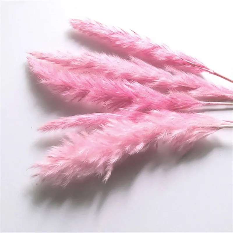 50Pcs/Natural Dried Flowers raw color Rabbit Tail Grass Bunch Real Flower Bouquet for Home Wedding Decoration home decor
50Pcs/Natural Dried Flowers raw color Rabbit Tail Grass Bunch Real Flower Bouquet for Home Wedding Decoration home decor