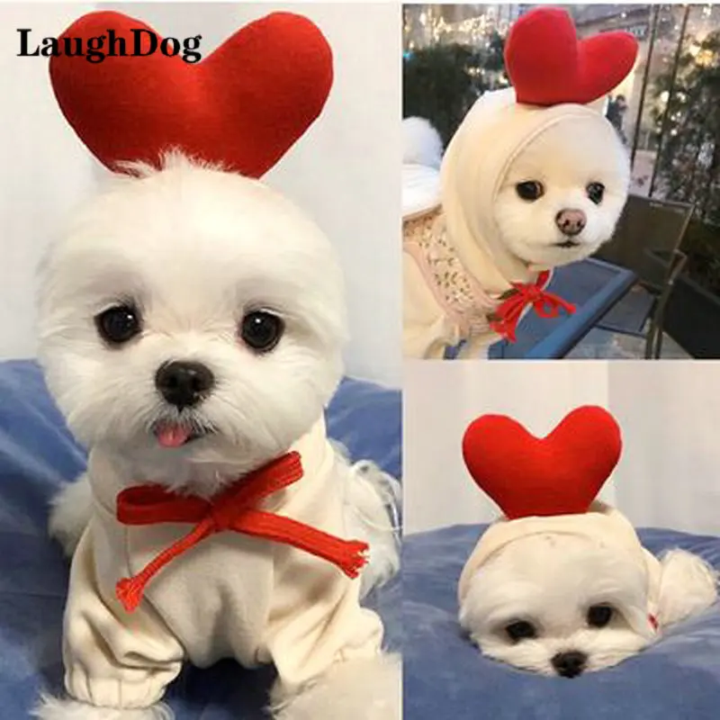 Fashion Dog Clothes Cute French Bulldog Fruit Hoodies Winter Warm Dog Costume Puppy Coat Jacket For Small Dogs Clothes Chihuahua
Fashion Dog Clothes Cute French Bulldog Fruit Hoodies Winter Warm Dog Costume Puppy Coat Jacket For Small Dogs Clothes Chihuahua