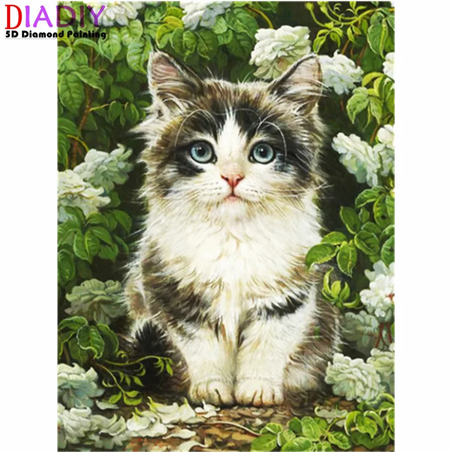 5D Diy алмазная живопись цветок Кот Квадрат/круглый бриллиантовый рисунок украшение для дома
5D Diy алмазная живопись цветок Кот Квадрат/круглый бриллиантовый рисунок украшение для дома