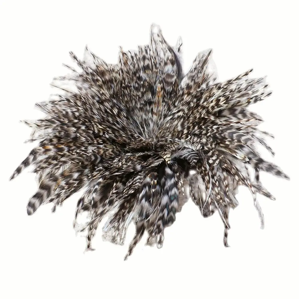 Natural Rooster Chicken Feather Ribbon Fringe Sewing 6-8 inch Wedding Cosplay Cloth Decoration Plumes Ribbon 1000PCS/Bunch
Natural Rooster Chicken Feather Ribbon Fringe Sewing 6-8 inch Wedding Cosplay Cloth Decoration Plumes Ribbon 1000PCS/Bunch