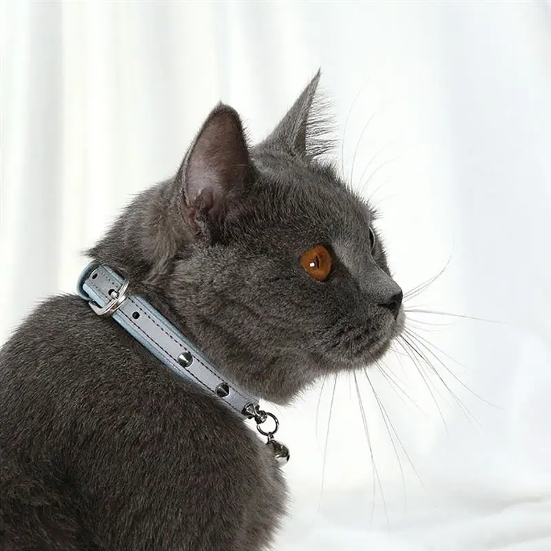 1pc Pet Safety Collar Reflective Faux Leather Soft Dog Collar Cat Collar With Bell Pet Supplies Pet Clothing Accessories
1pc Pet Safety Collar Reflective Faux Leather Soft Dog Collar Cat Collar With Bell Pet Supplies Pet Clothing Accessories