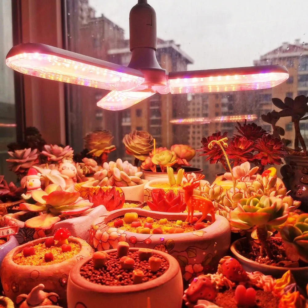 LED Grow Light Full Spectrum Indoor Flower Seeds E27 5730 Chip Hydroponic Growth Lamp
LED Grow Light Full Spectrum Indoor Flower Seeds E27 5730 Chip Hydroponic Growth Lamp