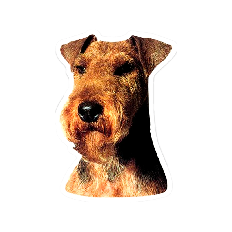 S41162# Various Sizes Self-adhesive Decal Welsh Terrier Car Sticker Waterproof Auto Decors on Bumper Rear Window
S41162# Various Sizes Self-adhesive Decal Welsh Terrier Car Sticker Waterproof Auto Decors on Bumper Rear Window