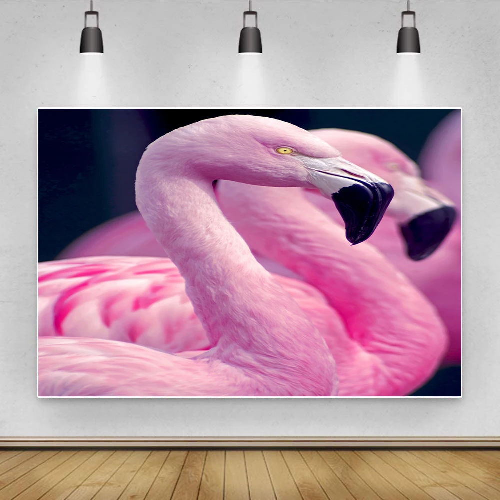 3D Животные напечатанные фоны фото розовые Фламинго дизайн виниловые фотозоны Фон фотографии декорации
3D Животные напечатанные фоны фото розовые Фламинго дизайн виниловые фотозоны Фон фотографии декорации