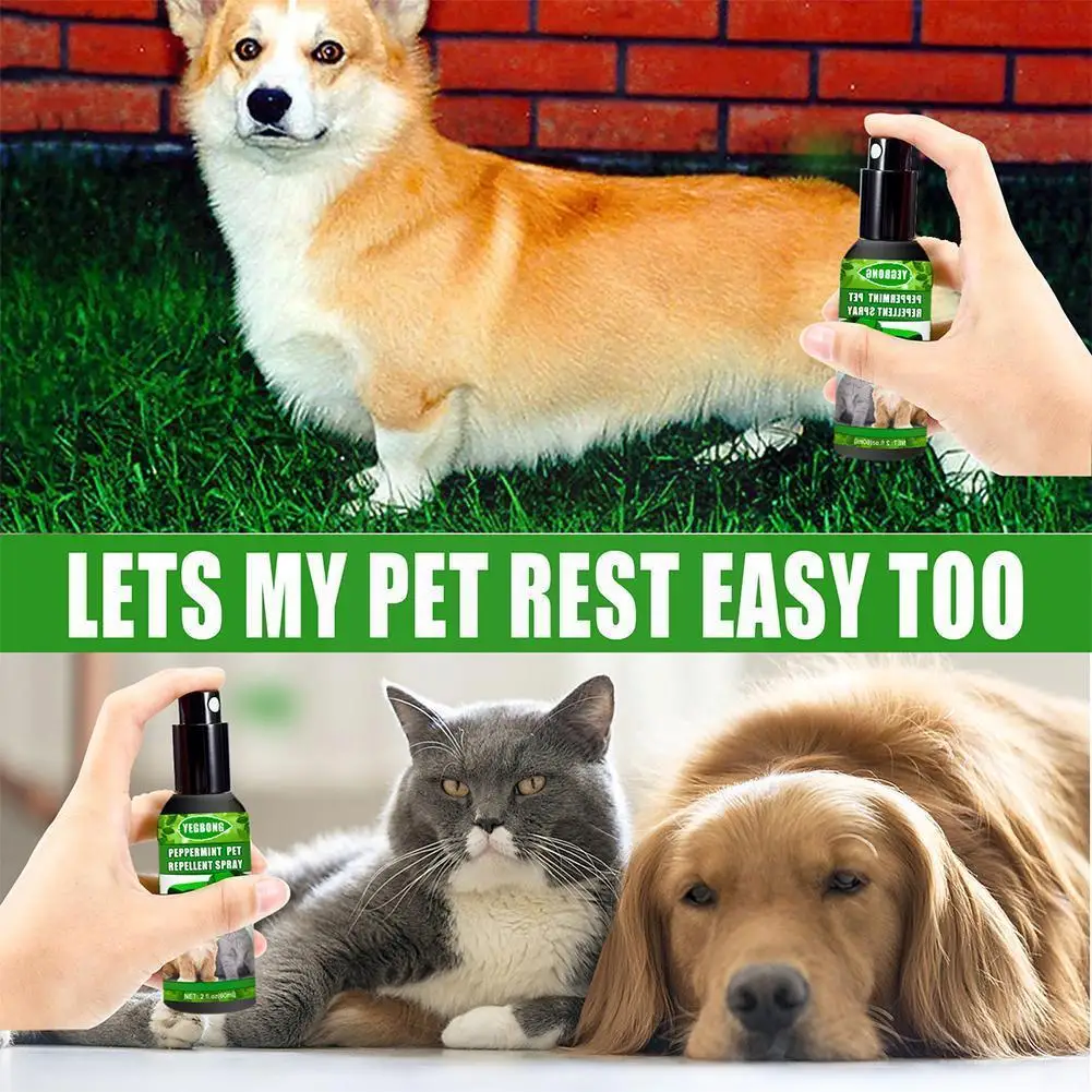 Liquid Treatment Spray Quick And Easy Kills Fleas Ticks Repellent Spray For Pets Cats Antiflea V4O7
Liquid Treatment Spray Quick And Easy Kills Fleas Ticks Repellent Spray For Pets Cats Antiflea V4O7