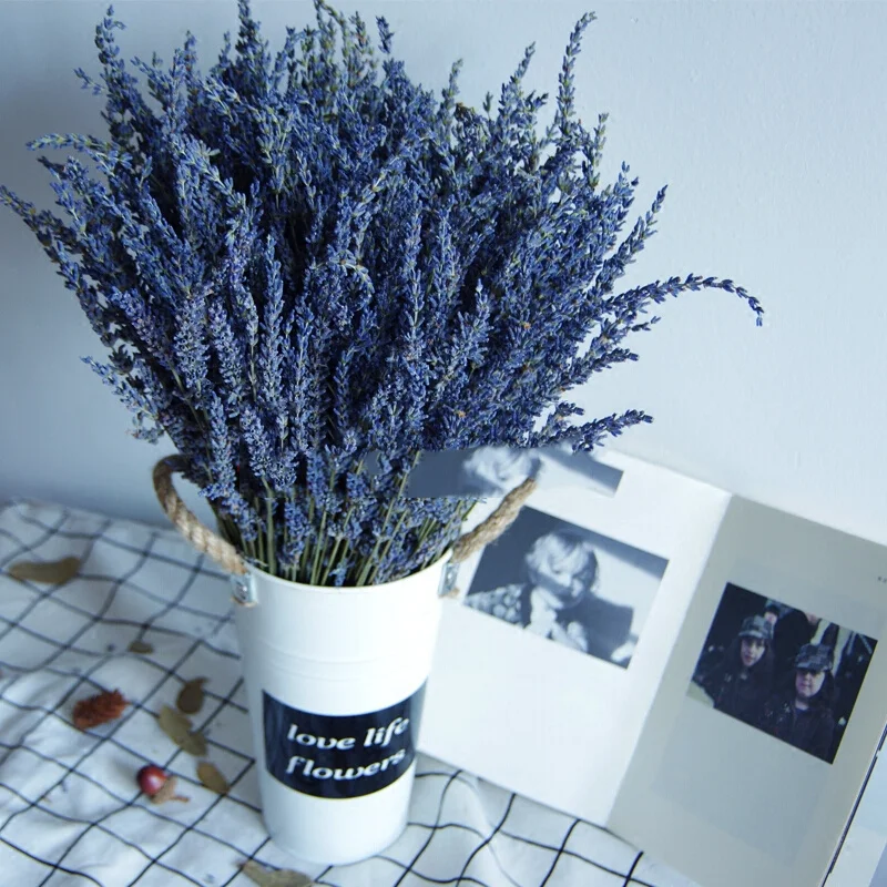 Natural Aromatherapy Lavender Dried Bouquet Soothe The Nerves and Help Sleep Home Decoration Deodorant Holiday Gift
Natural Aromatherapy Lavender Dried Bouquet Soothe The Nerves and Help Sleep Home Decoration Deodorant Holiday Gift