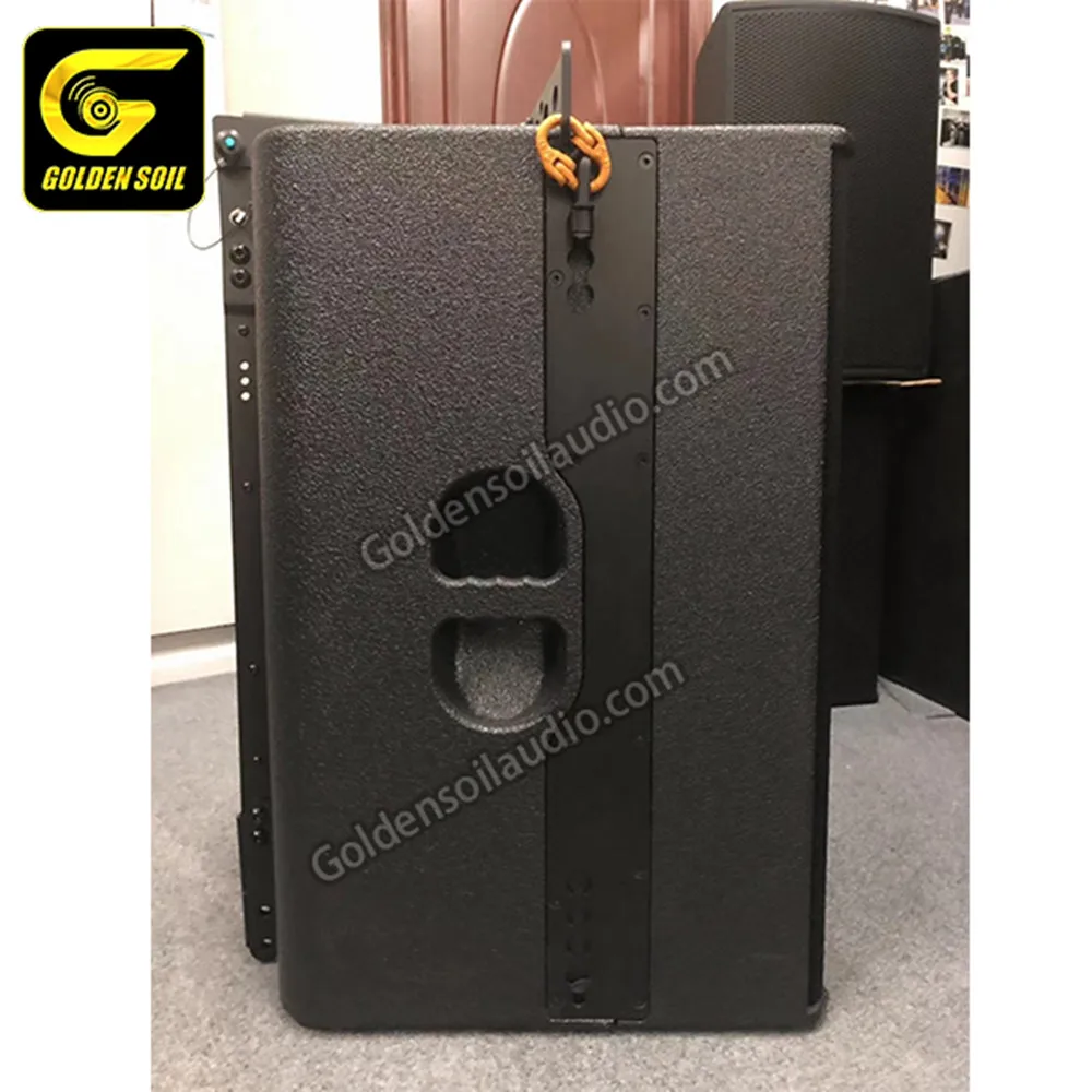 Goldensoil Audio T24N двойной 12 дюймовый 2 полосный Полнодиапазонный динамик активный мини