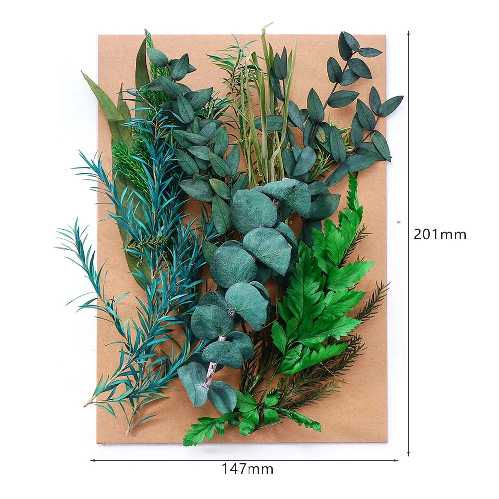Real Dried Flower Dry Plants For Wedding Party Home Decorations DIY Handicrafts Aromatherapy Candle Living Room Ornaments
Real Dried Flower Dry Plants For Wedding Party Home Decorations DIY Handicrafts Aromatherapy Candle Living Room Ornaments