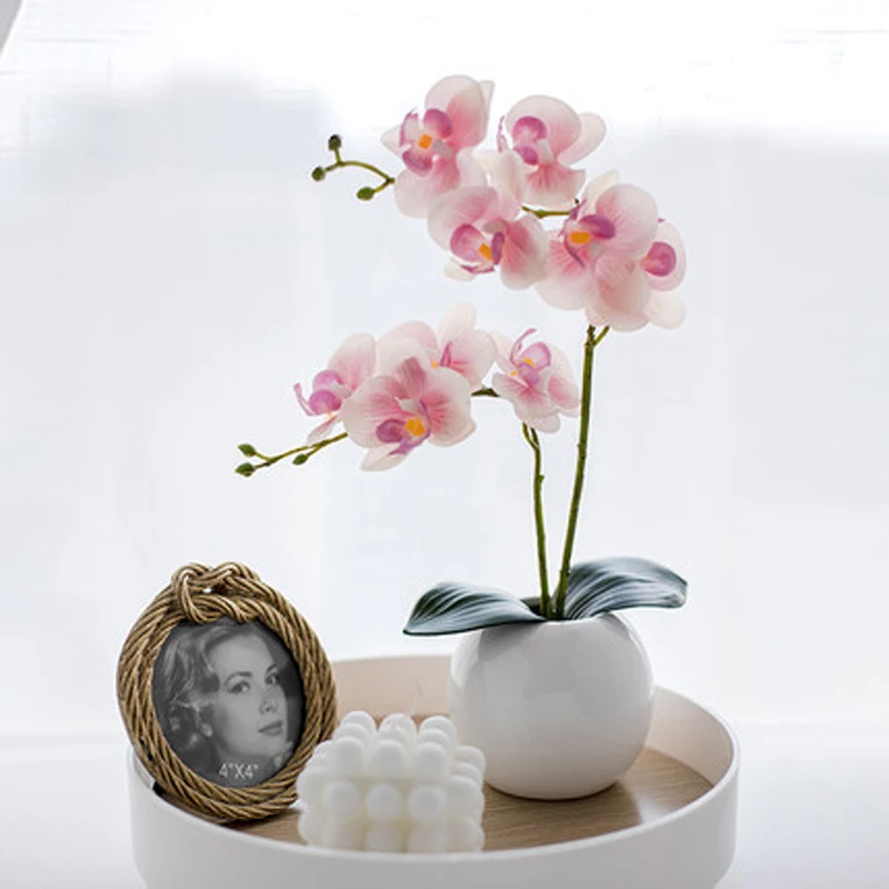 PU Phalaenopsis Set Flowers Artificial Plants Bouquet Dried Flowers For Wedding Party Living Room Indoor Silk Flower Decoration
PU Phalaenopsis Set Flowers Artificial Plants Bouquet Dried Flowers For Wedding Party Living Room Indoor Silk Flower Decoration