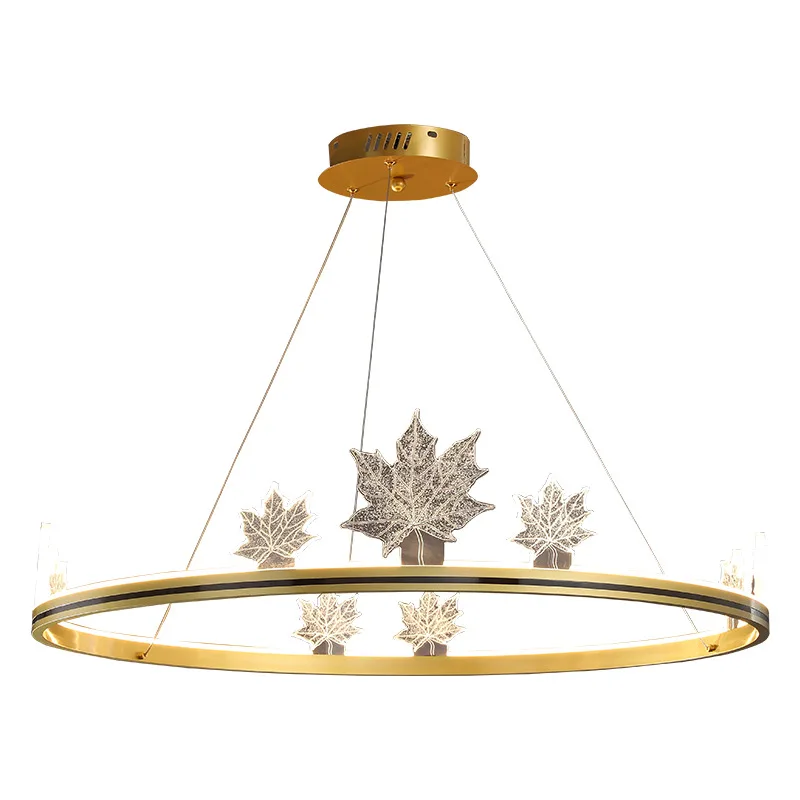 Ring Simple Living Room Chandelier Creative Personality Designer Dining Room Lighting Home Bedroom Study LED Lamp pendant
Ring Simple Living Room Chandelier Creative Personality Designer Dining Room Lighting Home Bedroom Study LED Lamp pendant