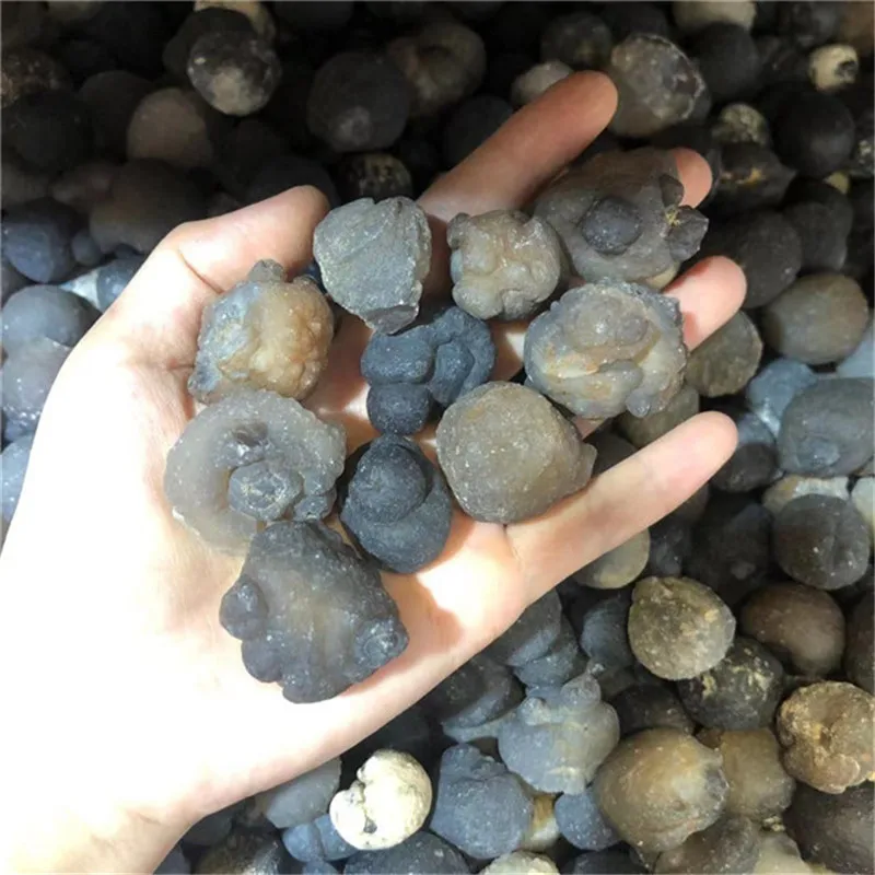 New Arrivals Crystals New Arrivals Crystals Rough Specimen Healing Stones Natural Gray Egyptian Agate Raw Gemstone For Sale
New Arrivals Crystals New Arrivals Crystals Rough Specimen Healing Stones Natural Gray Egyptian Agate Raw Gemstone For Sale