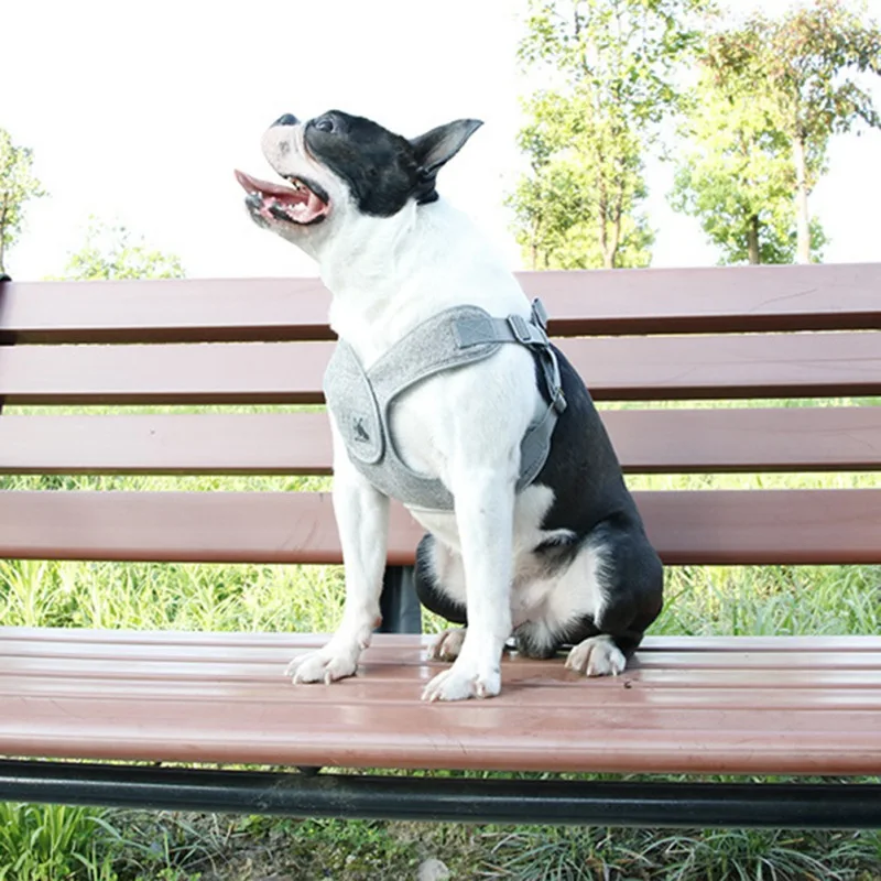 No Pull Dog Harness Reflective Pet Harness for Small Medium Dogs Breathable Protective Dog Harness Vest Easy Control
No Pull Dog Harness Reflective Pet Harness for Small Medium Dogs Breathable Protective Dog Harness Vest Easy Control