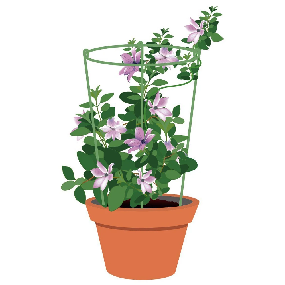 3 PCS Plant Support Ring Garden Round Shrub Vine Plant Support for Tomato Trellis Flower Salvia Young Peonies Daisies
3 PCS Plant Support Ring Garden Round Shrub Vine Plant Support for Tomato Trellis Flower Salvia Young Peonies Daisies