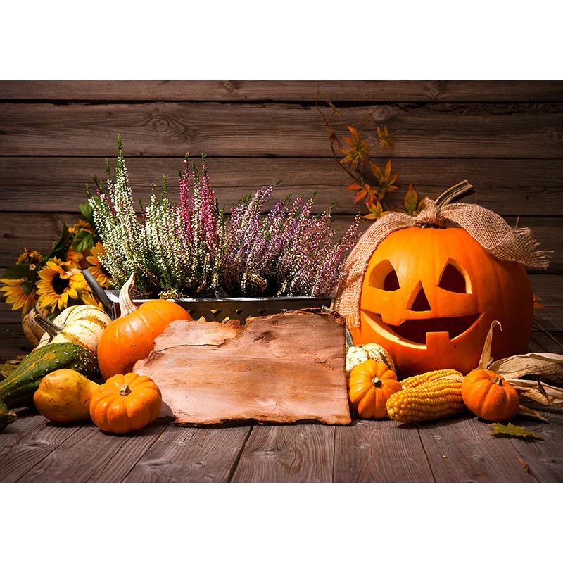 Halloween Backdrop Pumpkin Lantern Castle Forest Moon Tombstone Photography Background For Photo Studio Props 2158 WSJ-01
Halloween Backdrop Pumpkin Lantern Castle Forest Moon Tombstone Photography Background For Photo Studio Props 2158 WSJ-01