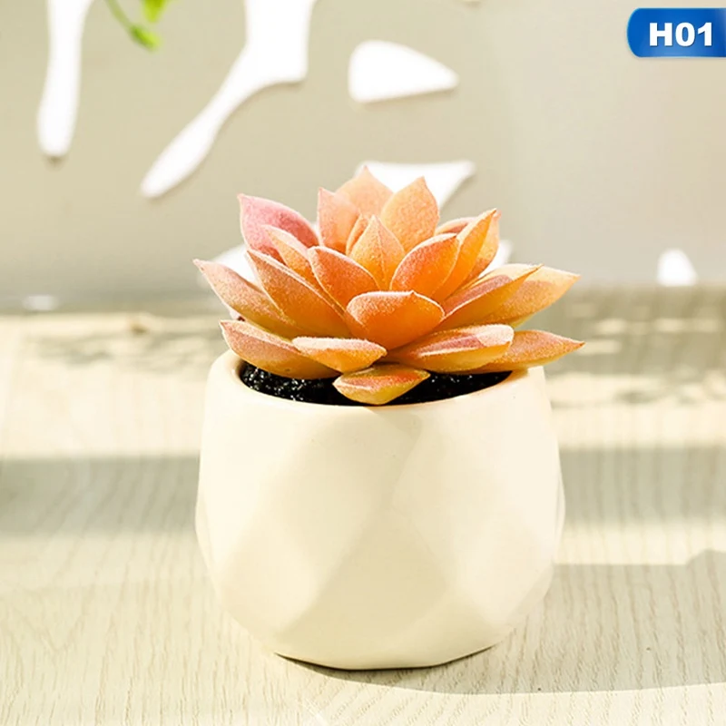 1Pieces Creative Ornaments Simulation Succulents Mini Bonsai Potted Green Artificial Plants In Pot Placed Home Table Decoration
1Pieces Creative Ornaments Simulation Succulents Mini Bonsai Potted Green Artificial Plants In Pot Placed Home Table Decoration