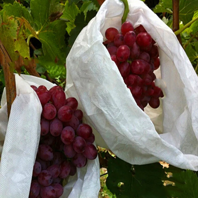 20 Pcs Fruit Vegetable Protection Grow Bag Anti Bird Plant Protective Bag Drawstring Nylon Mesh Agricultural Pest Control Bag
20 Pcs Fruit Vegetable Protection Grow Bag Anti Bird Plant Protective Bag Drawstring Nylon Mesh Agricultural Pest Control Bag