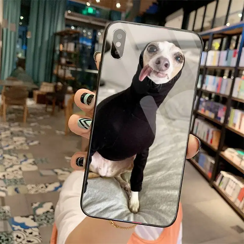 Funny Galgo Greyhound Dog Phone Cases Tempered glass For iphone 5C 6 6S 7 8 plus X XS XR 11 PRO MAX
Funny Galgo Greyhound Dog Phone Cases Tempered glass For iphone 5C 6 6S 7 8 plus X XS XR 11 PRO MAX