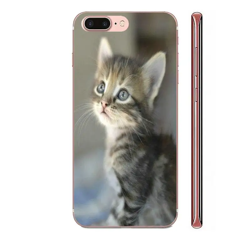 Чехол для телефона из ТПУ с серой кошкой и камерой Zenit Huawei Nova 2 V20 Y3II Y5 Y5II Y6 Y6II Y7 Y9 G8 G9