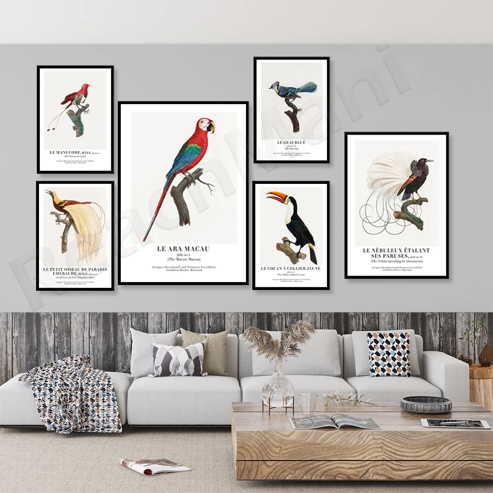 Jacques Barraband and Francois Levaillant-Little Emerald Bird of Paradise, Nebula Bird, Macau Macaw, Bird Poster-Museum Poster
Jacques Barraband and Francois Levaillant-Little Emerald Bird of Paradise, Nebula Bird, Macau Macaw, Bird Poster-Museum Poster
