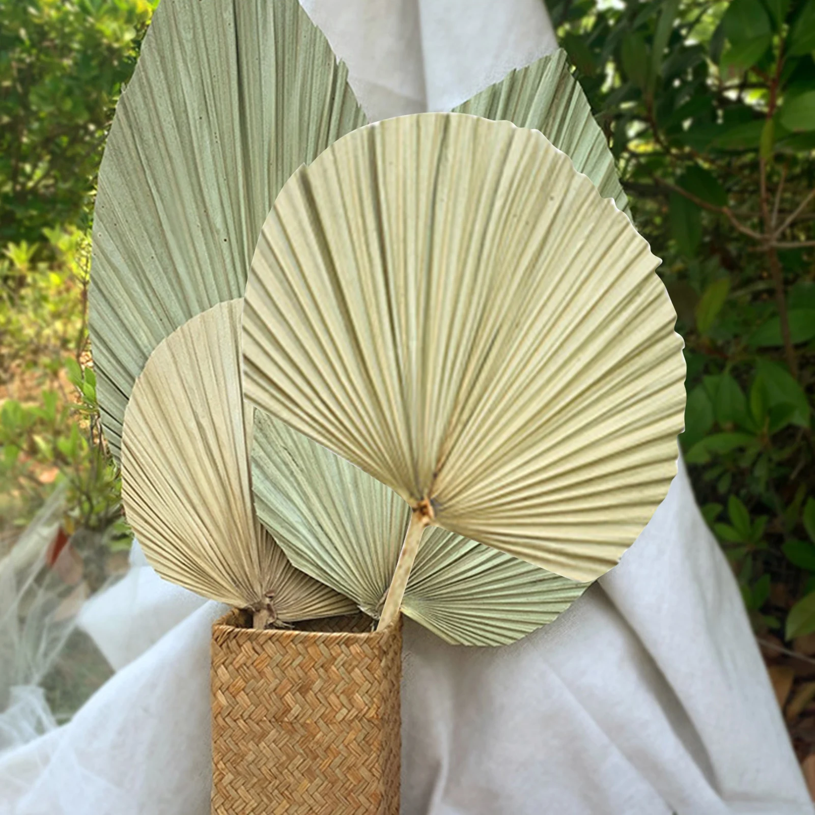 Natural Dried Palm Leaves DIY Decorations For Shop Window Party Wedding Arch Arrangement Beach Cocktail Art Wall Decoration
Natural Dried Palm Leaves DIY Decorations For Shop Window Party Wedding Arch Arrangement Beach Cocktail Art Wall Decoration