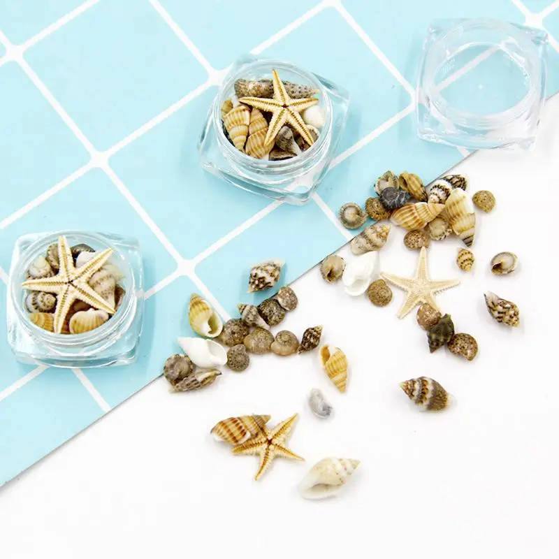 Small Natural Beach Seashell Starfish Nautical Decor for candle making, seashell ornaments Nail Art Jewelry Making
Small Natural Beach Seashell Starfish Nautical Decor for candle making, seashell ornaments Nail Art Jewelry Making