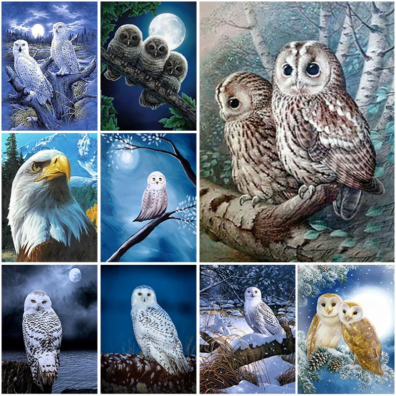 Royal Owl DIY Diamond Painting Full Round Drill Rhinestone Animals Embroidery Cross Stitch Kit Home Decor Wall Handicraft Gift
Royal Owl DIY Diamond Painting Full Round Drill Rhinestone Animals Embroidery Cross Stitch Kit Home Decor Wall Handicraft Gift