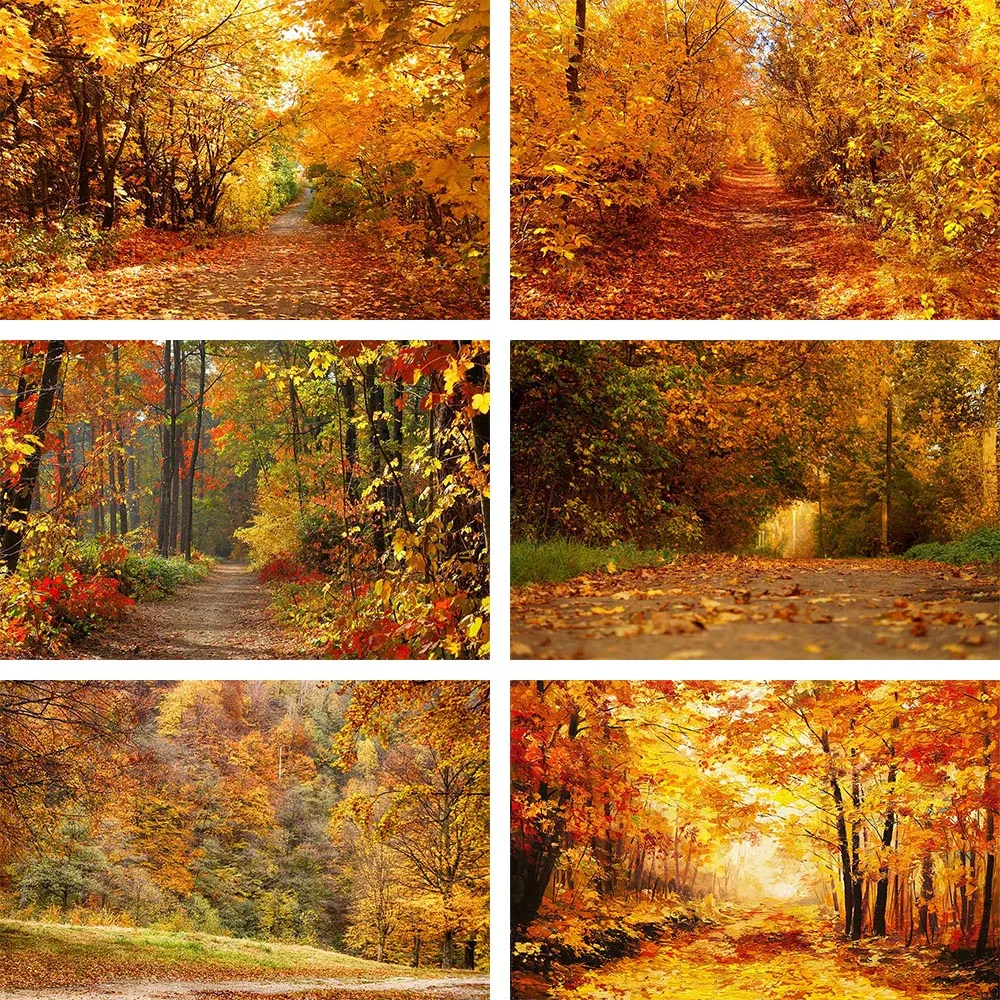 Mehofond Photography Background Autumn Scenery Deciduous Tree Yellow Fall Leaves Baby Child Portrait Backdrop Photo Studio Props
Mehofond Photography Background Autumn Scenery Deciduous Tree Yellow Fall Leaves Baby Child Portrait Backdrop Photo Studio Props