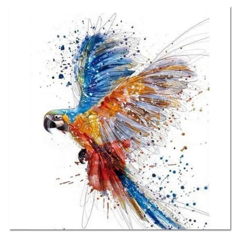 Brid Colorful Oil Painting By Number Acrylic Paint Drawing On Canvas DIY Craft Kits For Adults Coloring By Number Decoration Art
Brid Colorful Oil Painting By Number Acrylic Paint Drawing On Canvas DIY Craft Kits For Adults Coloring By Number Decoration Art