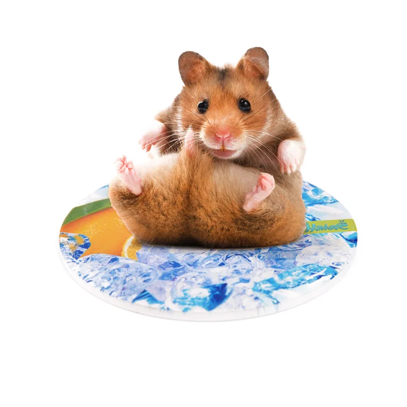 Large Size Hamster Cooling Plate Summer Heat-absorbing Ceramic Ice Pad Hamster Accessories Pet Supplies Bed for Hamster
Large Size Hamster Cooling Plate Summer Heat-absorbing Ceramic Ice Pad Hamster Accessories Pet Supplies Bed for Hamster