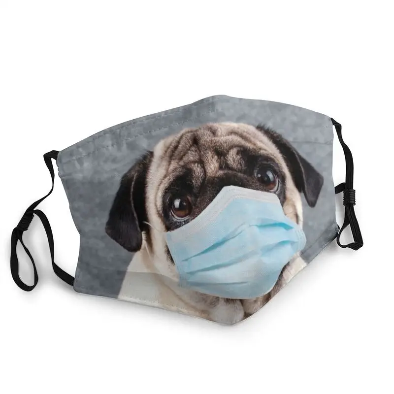 Washable Cute Pug Dog Mask Pet Puppy Anti Haze Protection Cover Mask Respirator Mouth Muffle
Washable Cute Pug Dog Mask Pet Puppy Anti Haze Protection Cover Mask Respirator Mouth Muffle