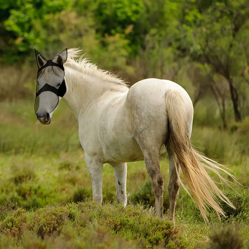 Breathable Eye Nose Ear Safe Full Face Summer Comfortable Anti Mosquito Stable Horse Fly Cover Pasture Shield Adjustable 
Breathable Eye Nose Ear Safe Full Face Summer Comfortable Anti Mosquito Stable Horse Fly Cover Pasture Shield Adjustable