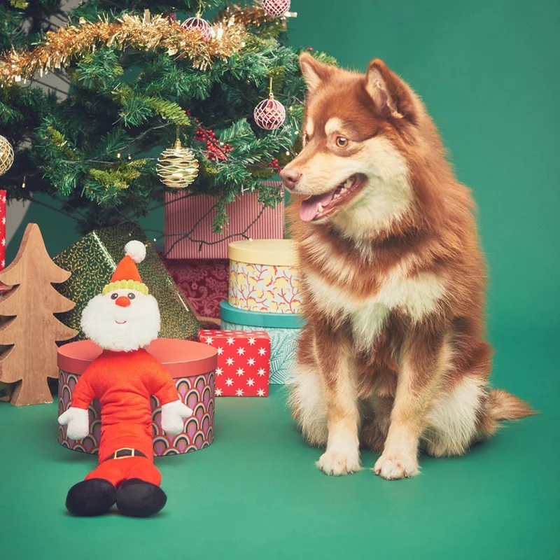 New Christmas Theme Plush Dog Toy Training Chew Toy Bite-resistant Soft Dog Cat Toy for Small Medium Chihuahua Yorkshire
New Christmas Theme Plush Dog Toy Training Chew Toy Bite-resistant Soft Dog Cat Toy for Small Medium Chihuahua Yorkshire