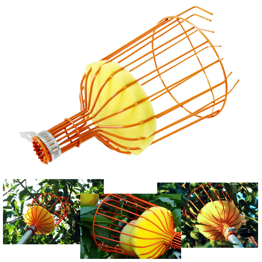 Stainless Steel Fruit Picker Durable Farm Garden Tool Harvesting Anti Bruising With Cushion Catcher Pears Peach Deep Basket
Stainless Steel Fruit Picker Durable Farm Garden Tool Harvesting Anti Bruising With Cushion Catcher Pears Peach Deep Basket