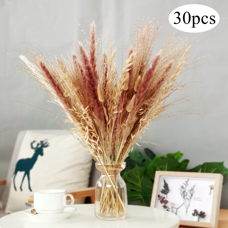 Pampas Grass Decor Fluffy Natural Dried Flowers Mixed Bleached Bouquet Boho Vintage Style for Wedding Home Christmas
Pampas Grass Decor Fluffy Natural Dried Flowers Mixed Bleached Bouquet Boho Vintage Style for Wedding Home Christmas