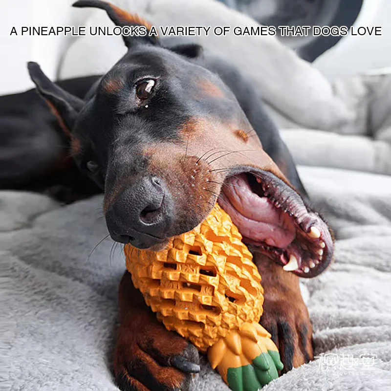 Dog Toys Rubber Dog Ball Funny Fruit Pineapple Mango Durian Chew Toy Pet Chew Bite Tooth Cleaning Snack Ball Pet Supplies
Dog Toys Rubber Dog Ball Funny Fruit Pineapple Mango Durian Chew Toy Pet Chew Bite Tooth Cleaning Snack Ball Pet Supplies