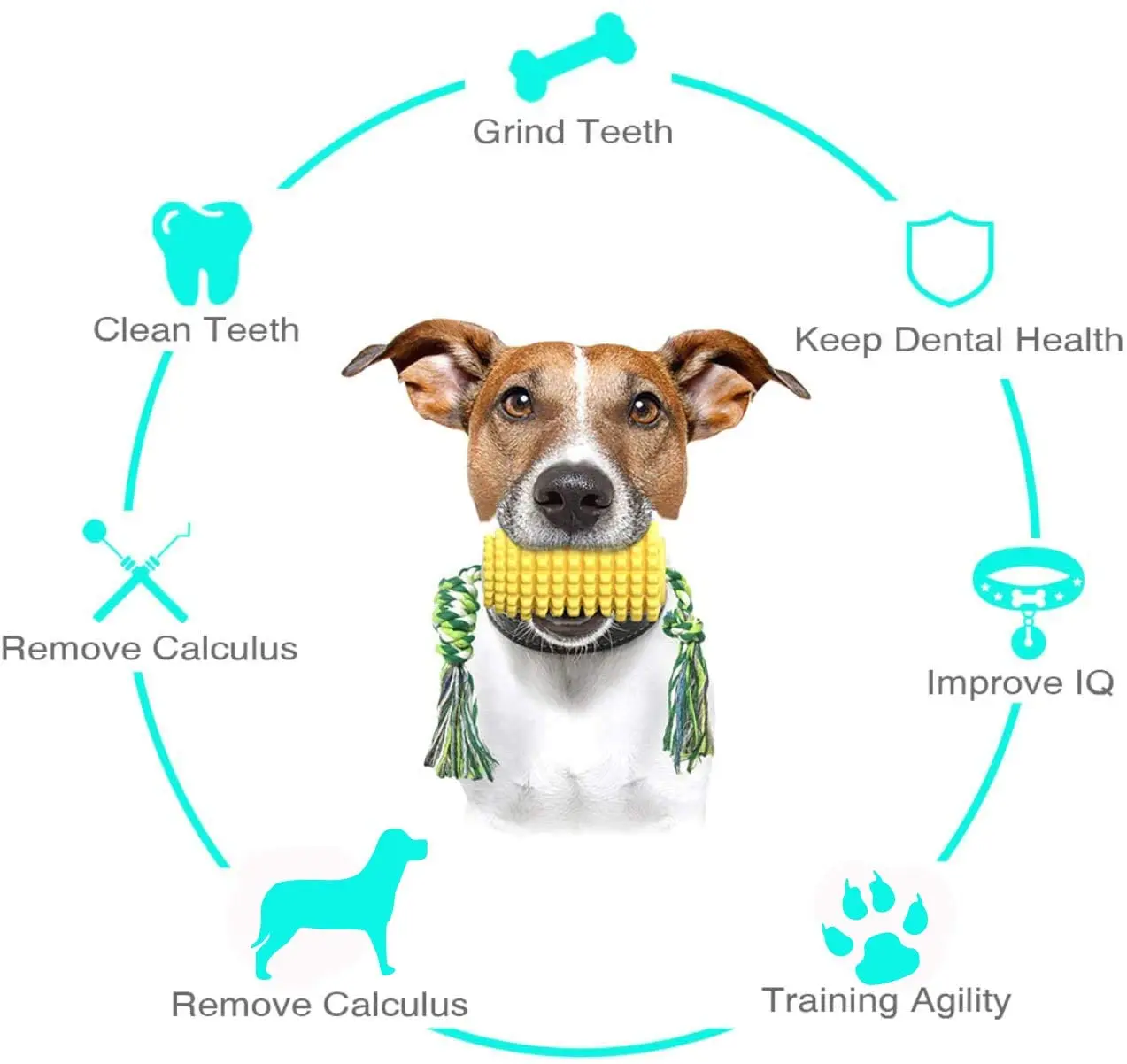 Dog Chew Toys Corn Dog Toys Dog Toothbrush Rubber Chew Toys for Dogs Teething Cleaning Corn Molar Stick with Rope dog training
Dog Chew Toys Corn Dog Toys Dog Toothbrush Rubber Chew Toys for Dogs Teething Cleaning Corn Molar Stick with Rope dog training